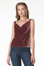 Load image into Gallery viewer, Tart Fern Velvet Top

