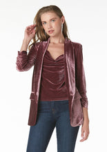 Load image into Gallery viewer, Tart Fern Velvet Top
